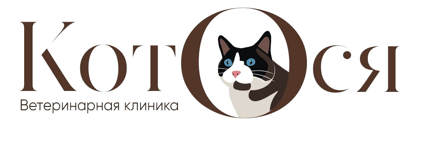 КотОся